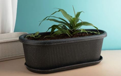 Eco-Friendly Planters: A Sustainable Gardening Solution