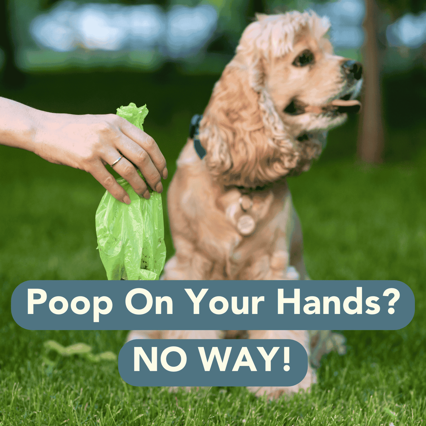 Biodegradable Floral Scented Pet Poop Bags - 120 Bags6