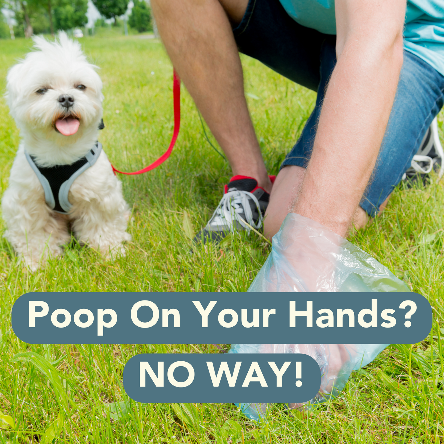 IRIDA NATURALS Poop Bags Wheat Straw Dispenser with Leash Clip