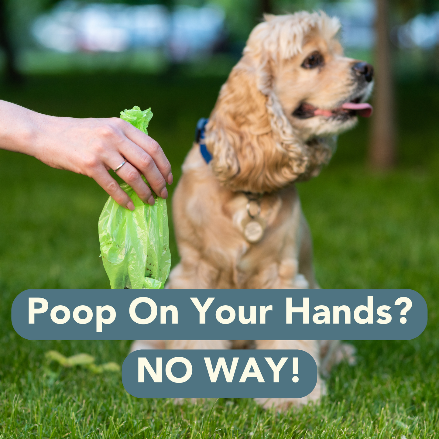 Irida Naturals Compostable Pet Poop Bags 120 Bags with a Wheat straw dispenser