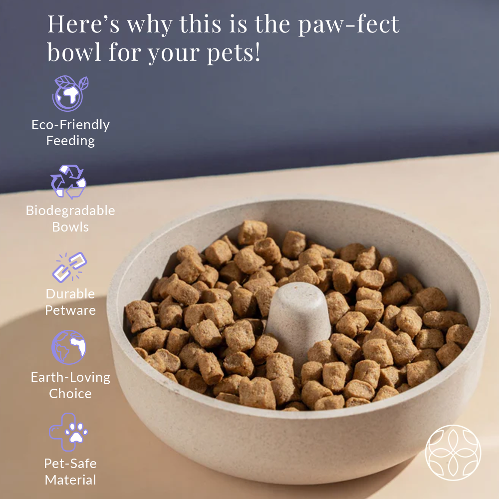 Rice Husk Bubble Bowl Mid - 430 ML