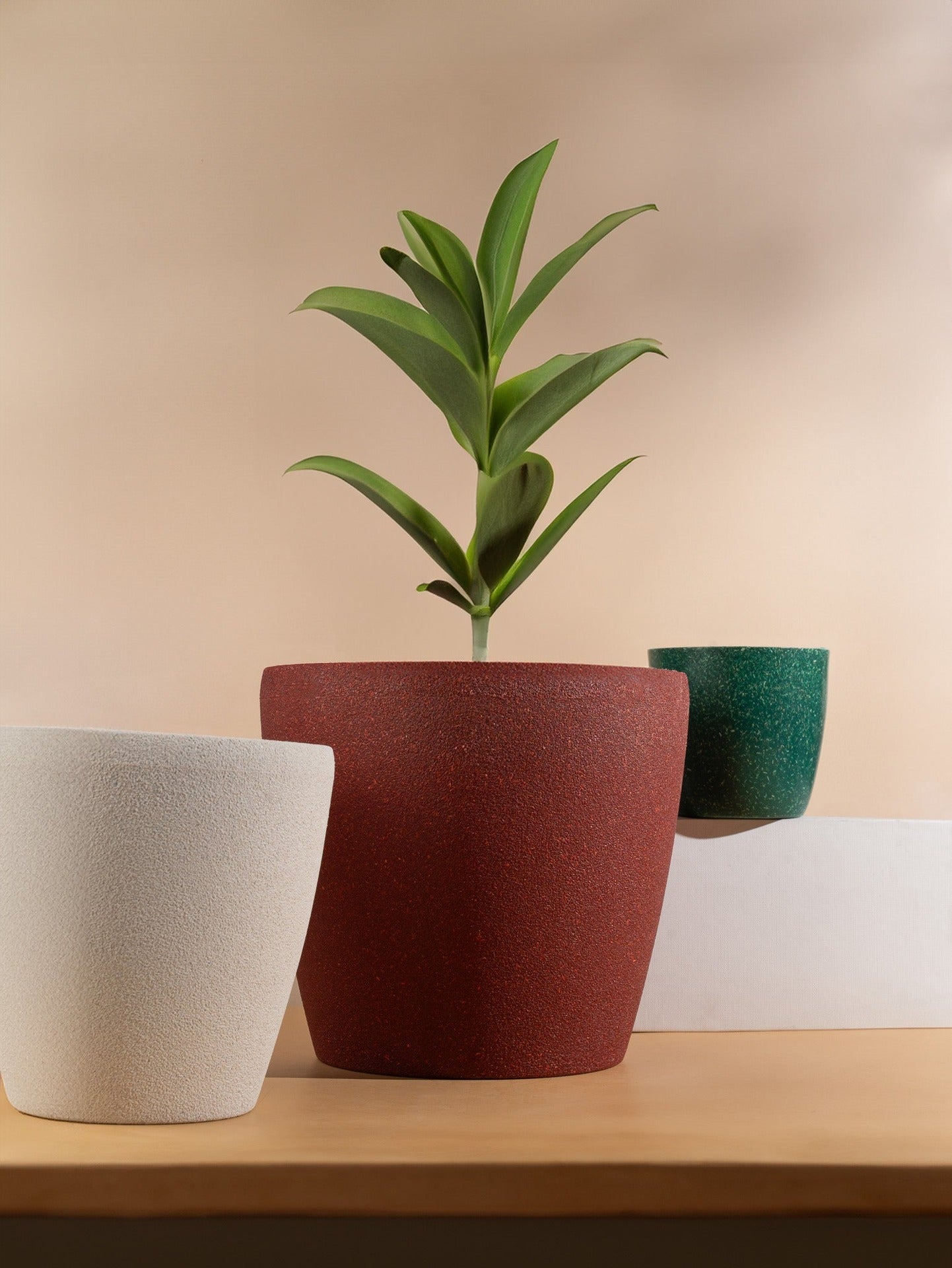 bamboo and rice plant pots Lily Planter Big 9" – Stylish & Sustainable