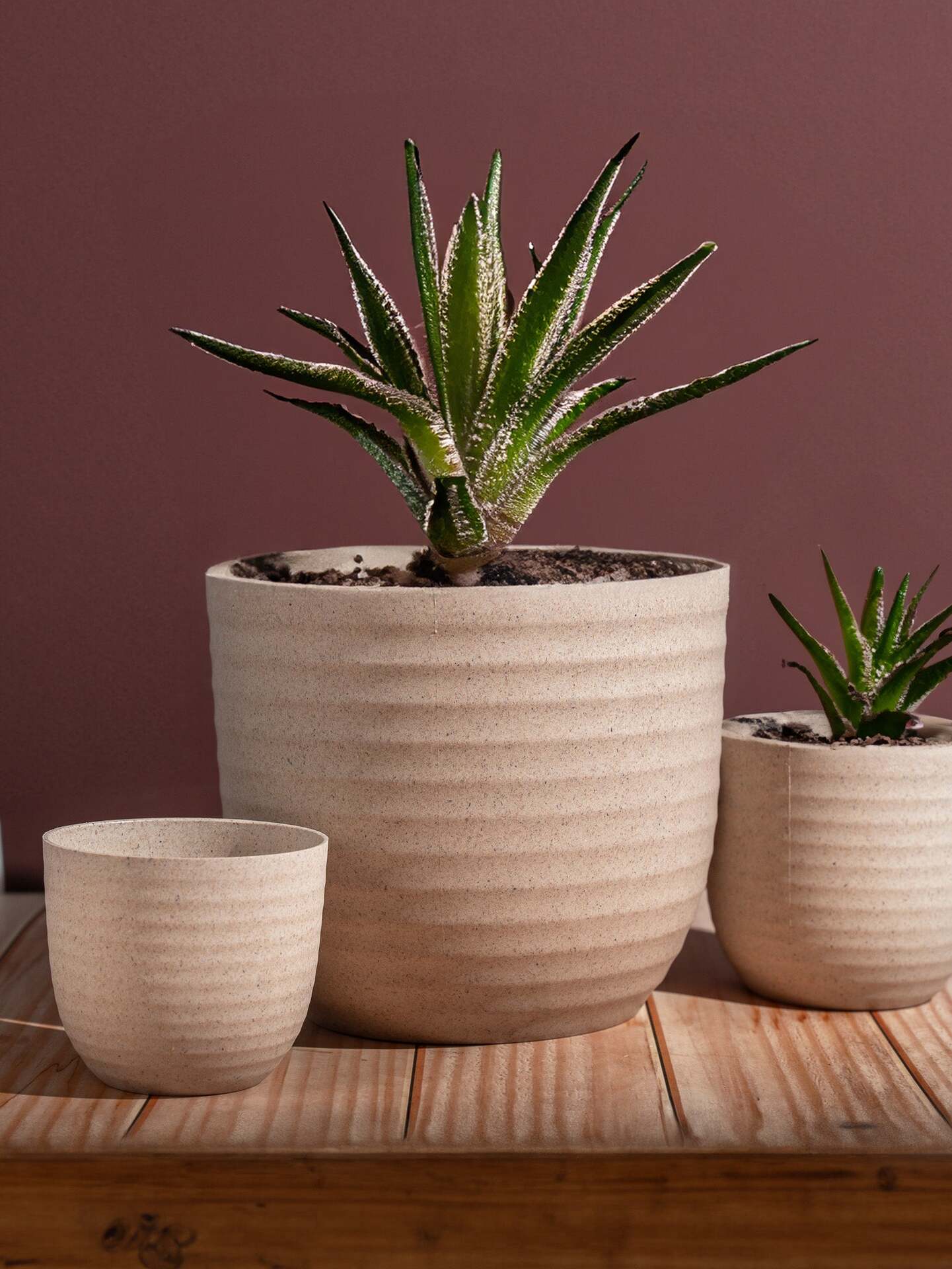 bamboo fibre plant pots Peony Planter Mid 5" – Eco-Friendly & Elegant