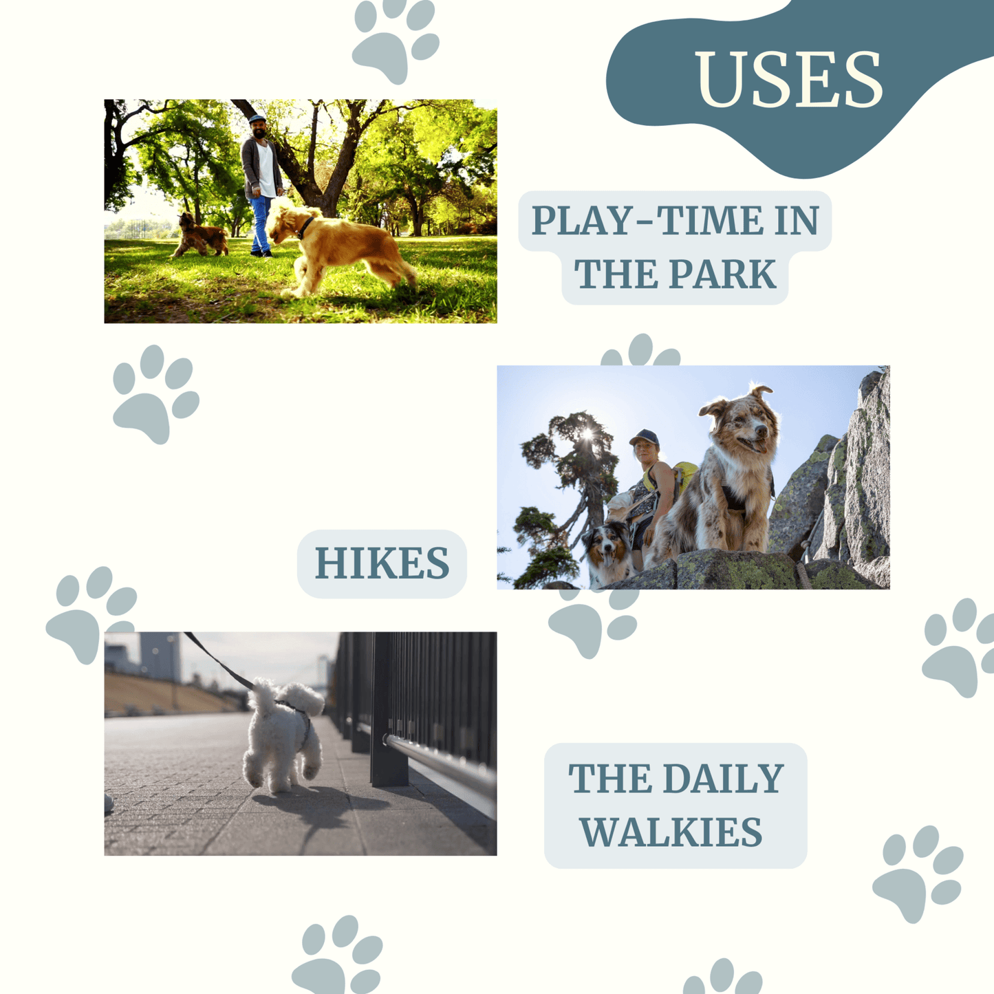 Wheat Straw Poop Bag Dispenser with Leash Clip