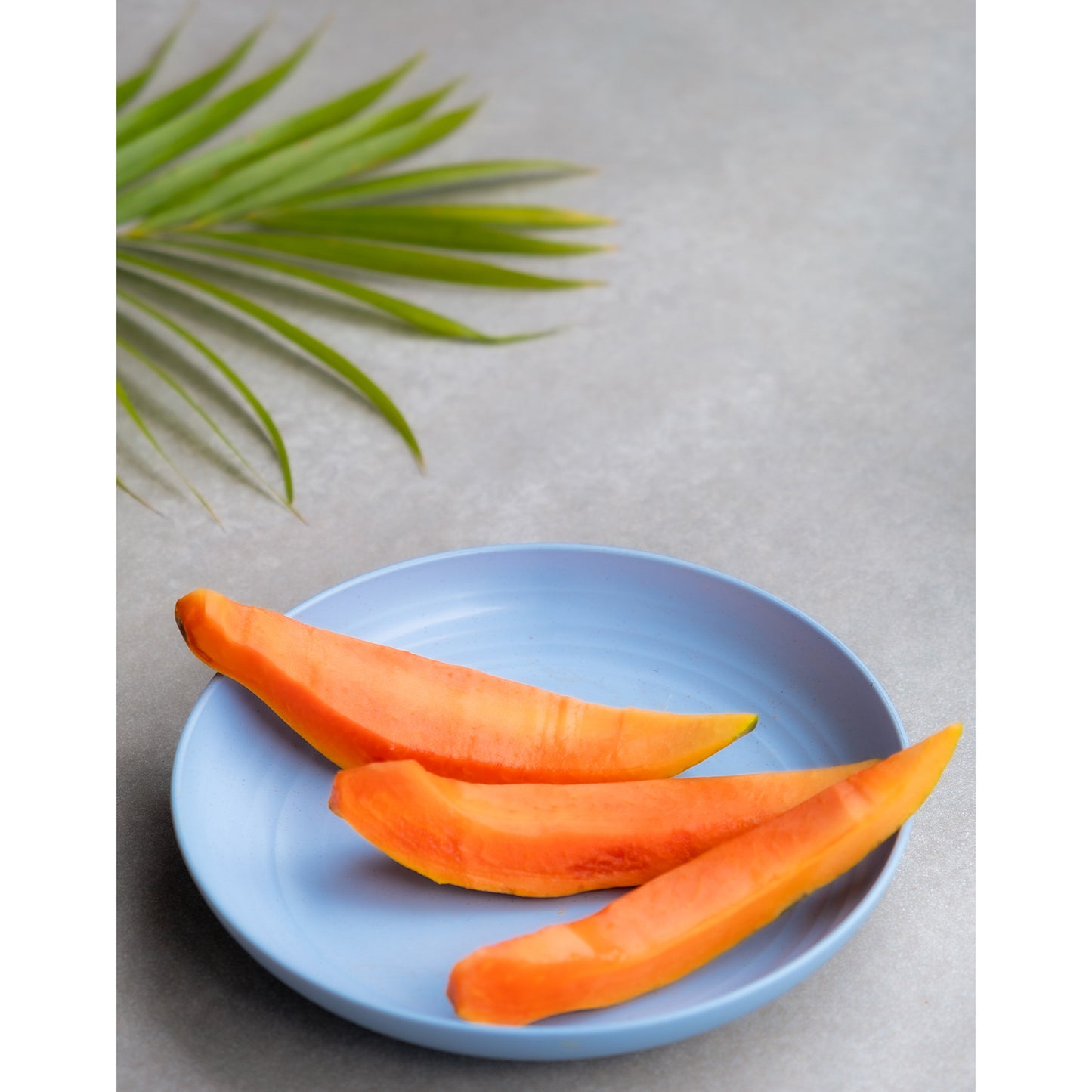 Wheat Straw Plates - Set of 4