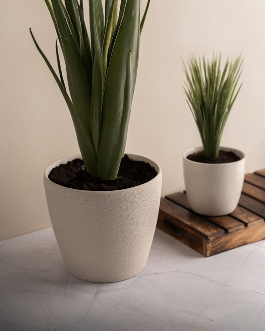 Lily Planter Mid 7" Set of 2