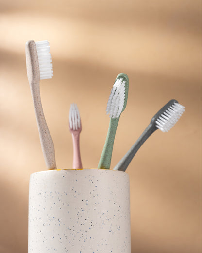 Rice Husk Tooth Brushes