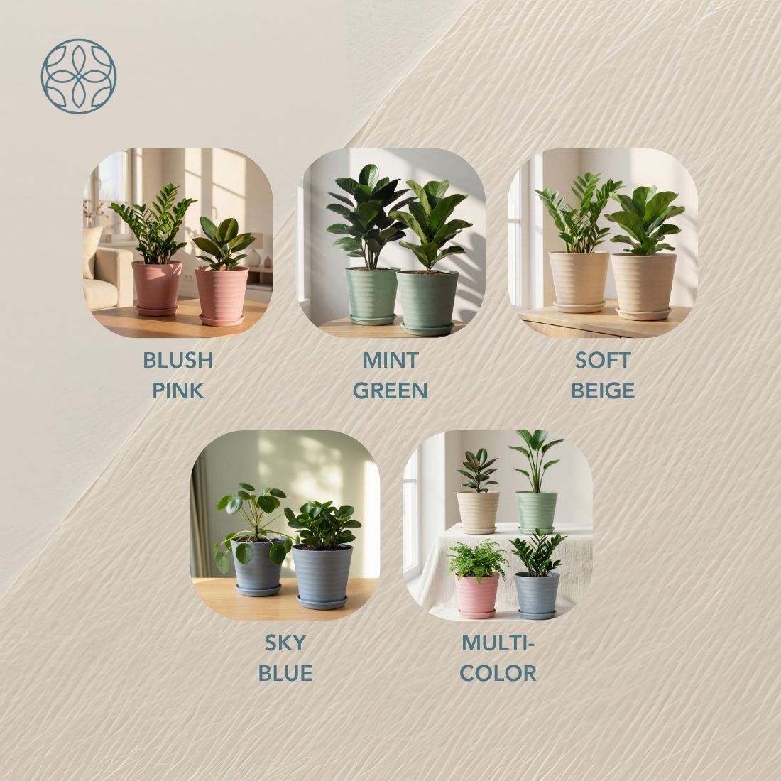Eco Friendly Rice Husk Iris 5.5 inch Pots & Planter