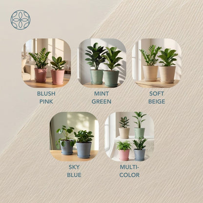 Eco Friendly Rice Husk Iris 5.5 inch Pots & Planter