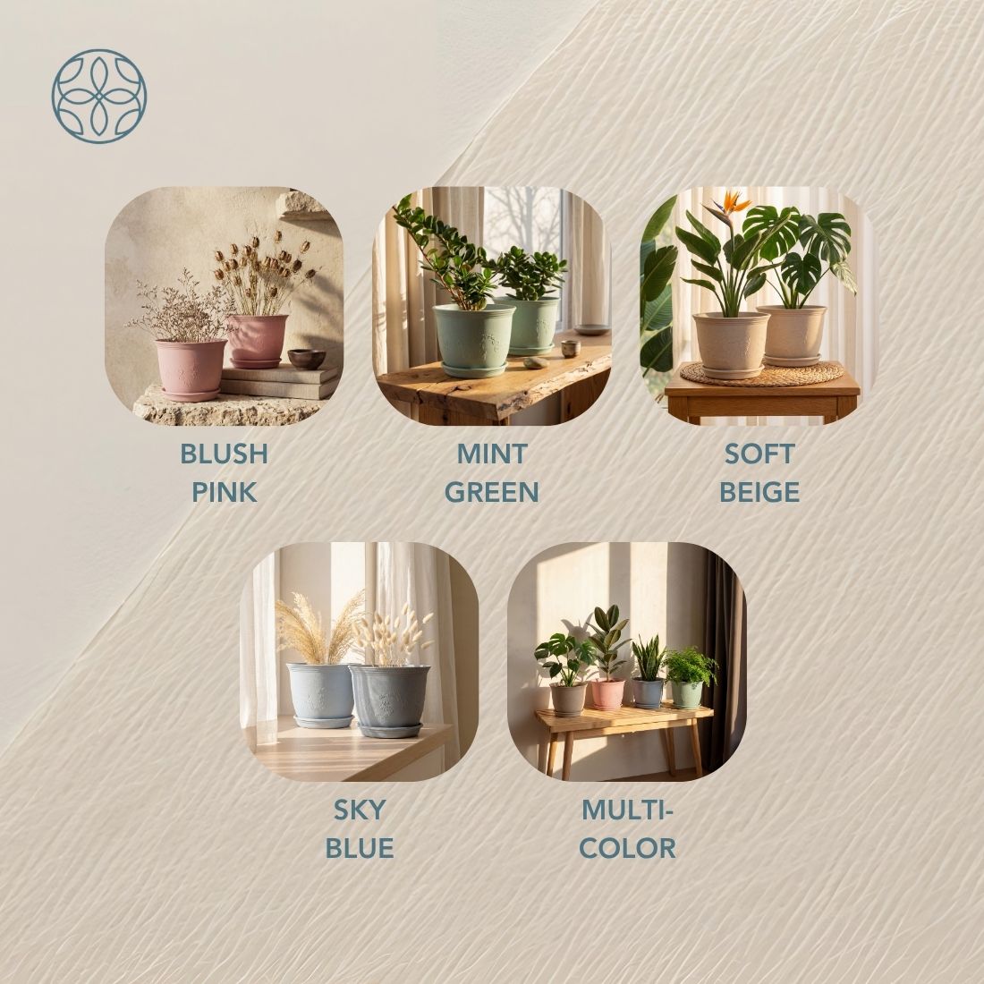 Eco Friendly Rice Husk Jasmine 8 inch Pots & Planter