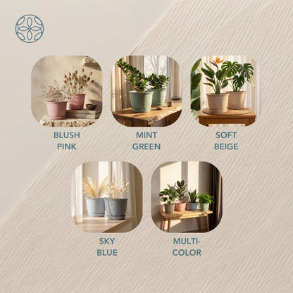 Eco Friendly Rice Husk Jasmine 8 inch Pots & Planter
