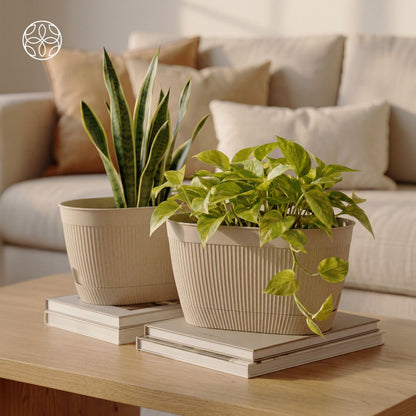 Eco Friendly Rice Husk Camelia 11.5 inch Pots & Planter