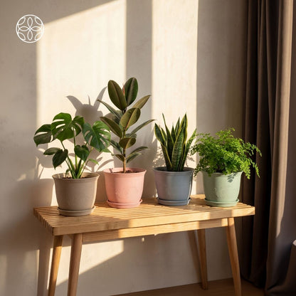Eco Friendly Rice Husk Jasmine 12 inch Pots & Planter
