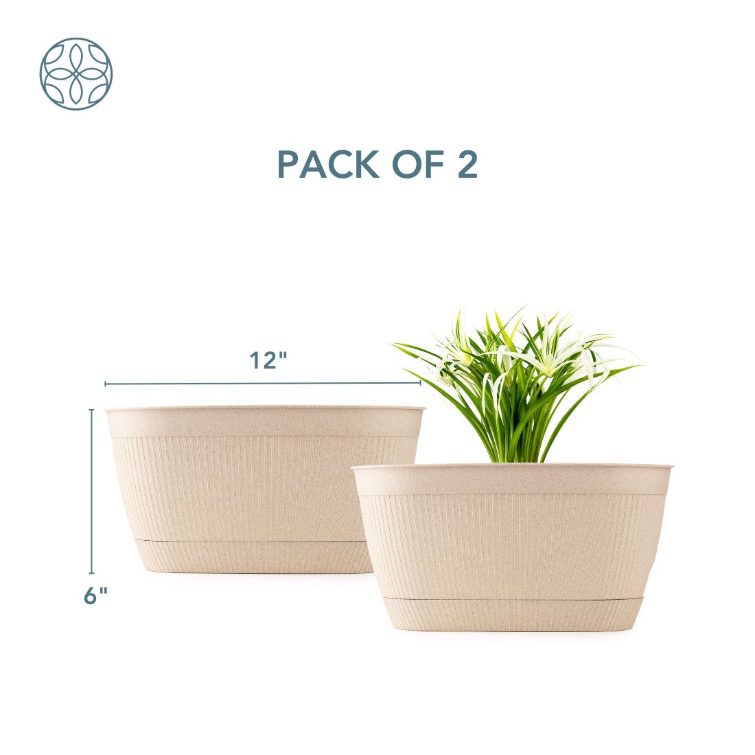 Eco Friendly Rice Husk Camelia 11.5 inch Pots & Planter