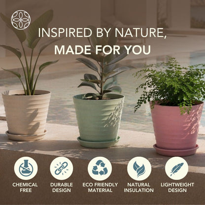 Eco Friendly Rice Husk Iris 7.5 inch Pots & Planter