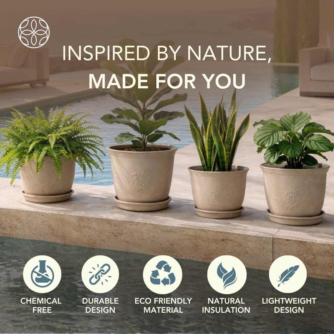 Eco Friendly Rice Husk Jasmine 8 inch Pots & Planter