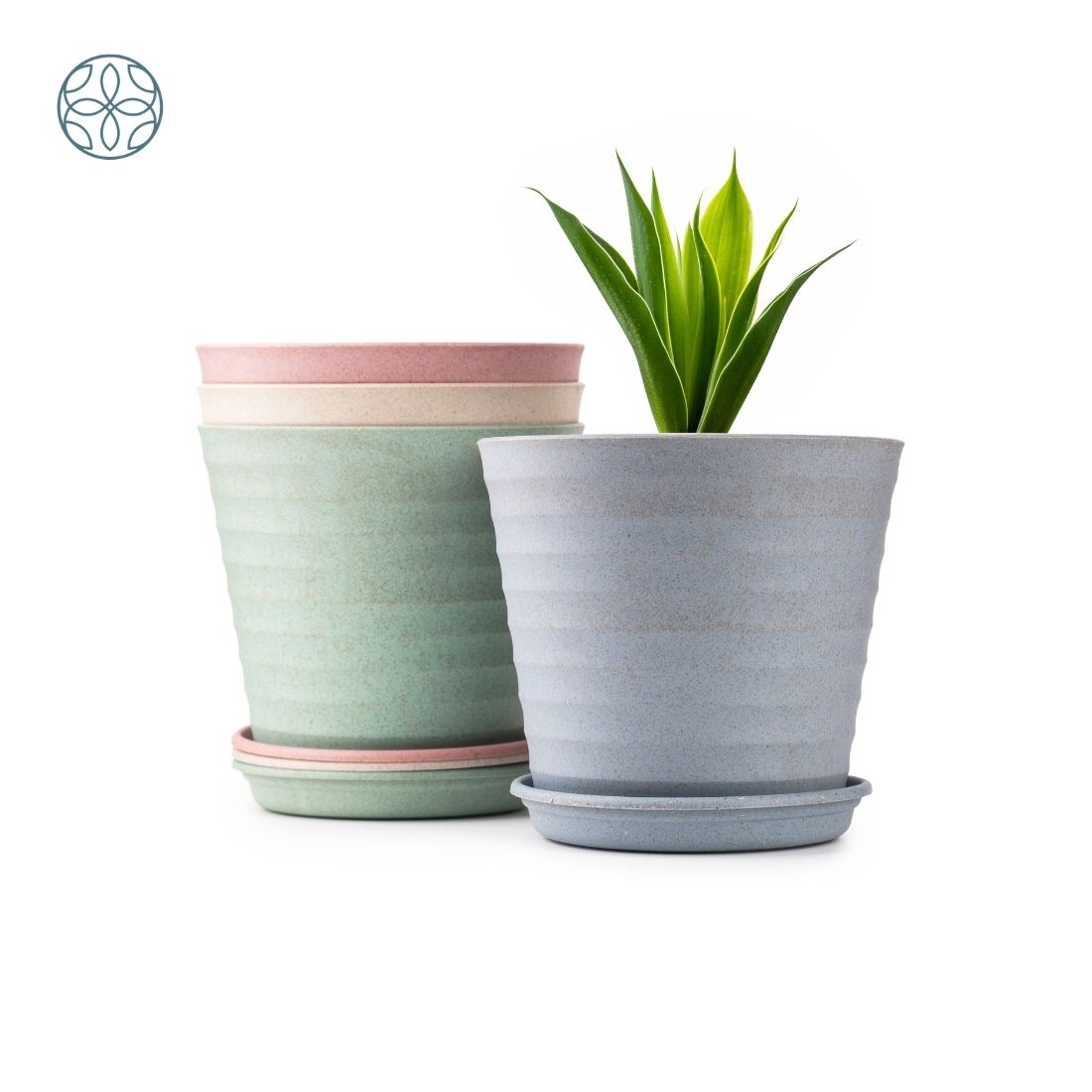 Eco Friendly Rice Husk Iris 5.5 inch Pots & Planter