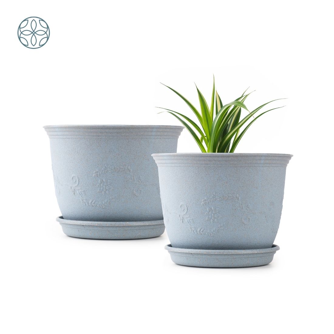 Eco Friendly Rice Husk Jasmine 8 inch Pots & Planter