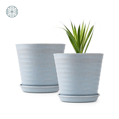 Eco Friendly Rice Husk Iris 7.5 inch Pots & Planter