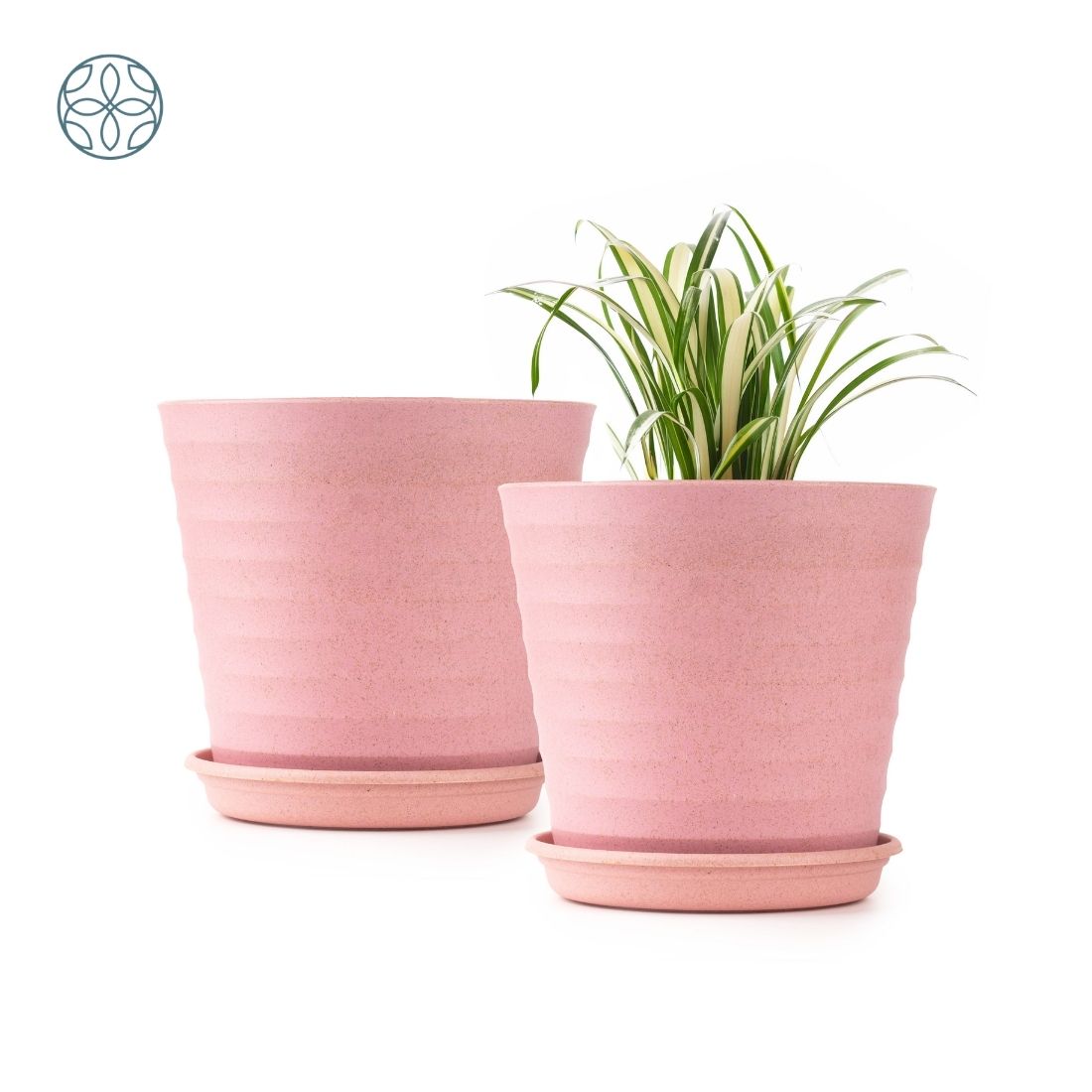 Eco Friendly Rice Husk Iris 7.5 inch Pots & Planter
