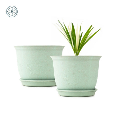 Eco Friendly Rice Husk Jasmine 8 inch Pots & Planter