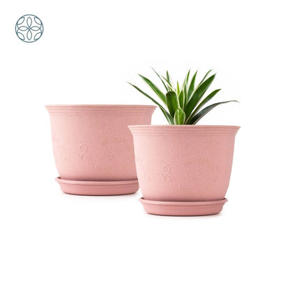 Eco Friendly Rice Husk Jasmine 8 inch Pots & Planter