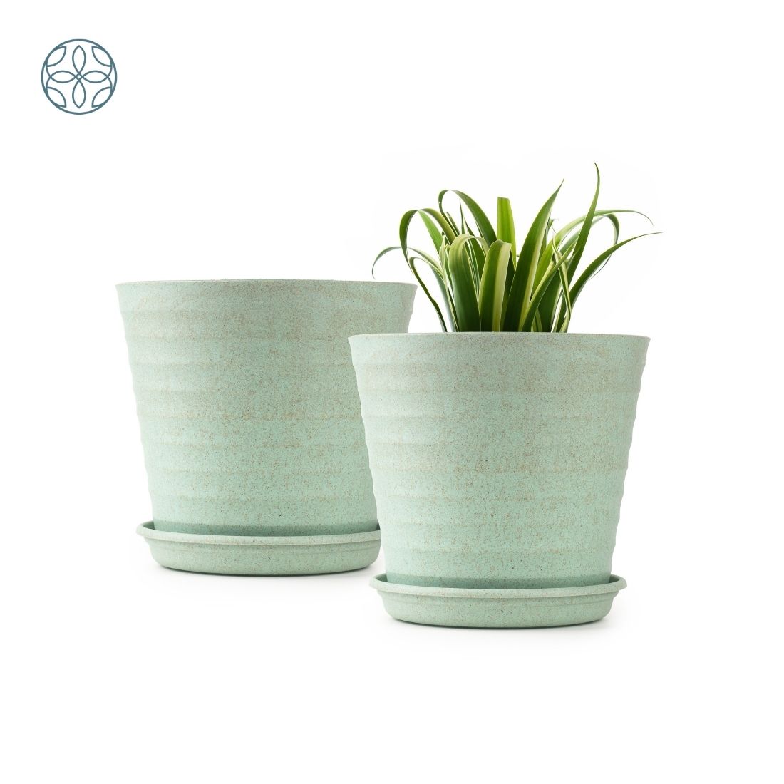 Eco Friendly Rice Husk Iris 5.5 inch Pots & Planter