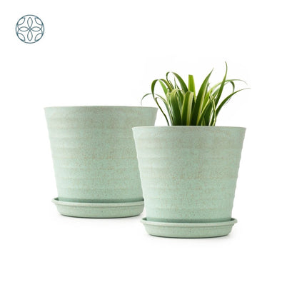 Eco Friendly Rice Husk Iris 5.5 inch Pots & Planter