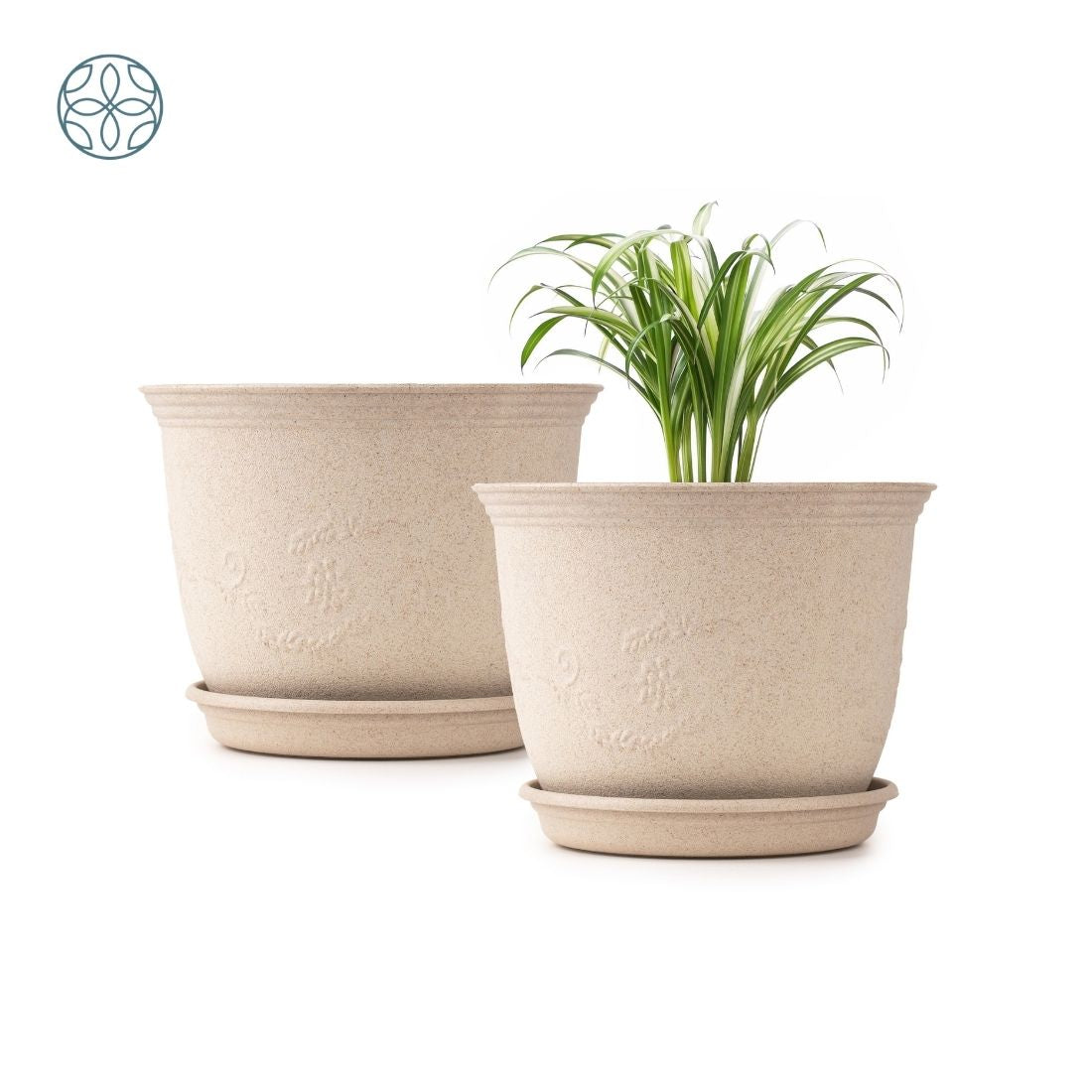 Eco Friendly Rice Husk Jasmine 8 inch Pots & Planter