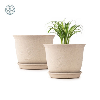 Eco Friendly Rice Husk Jasmine 8 inch Pots & Planter