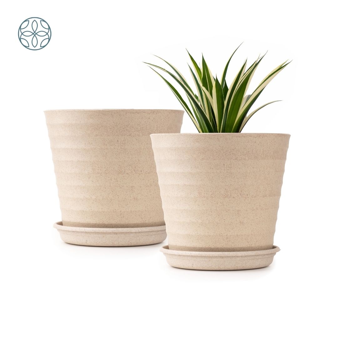 Eco Friendly Rice Husk Iris 7.5 inch Pots & Planter