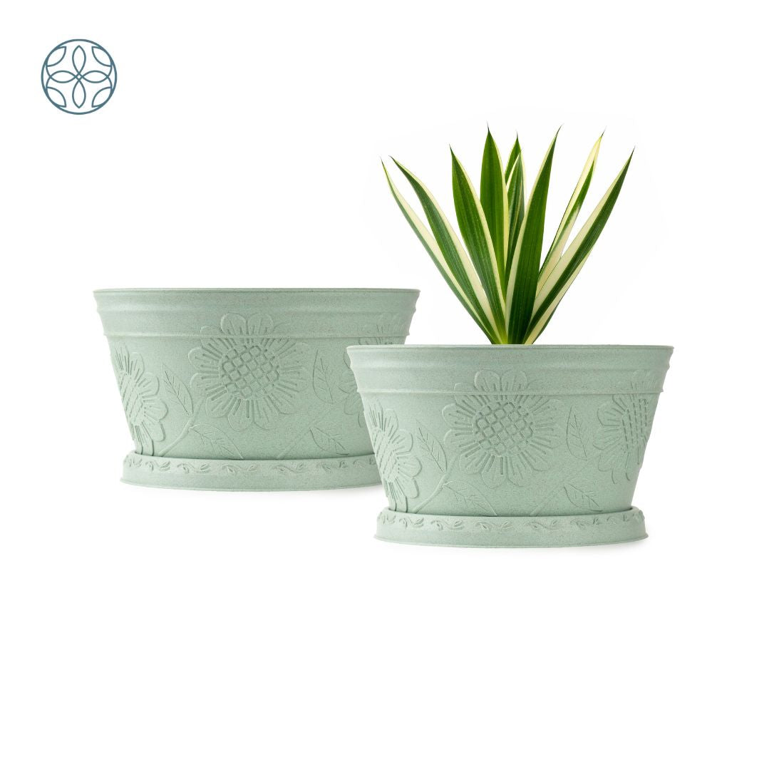 Eco Friendly Rice Husk Lotus 9.5 inch Pots & Planter | Soft Beige