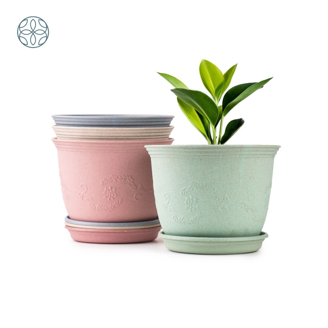Eco Friendly Rice Husk Jasmine 8 inch Pots & Planter