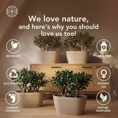 Eco Friendly Rice Husk Camelia 11.5 inch Pots & Planter