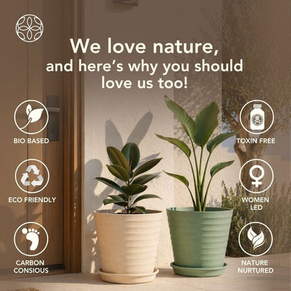 Eco Friendly Rice Husk Iris 7.5 inch Pots & Planter