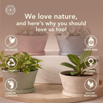 Eco Friendly Rice Husk Lotus 9.5 inch Pots & Planter | Soft Beige