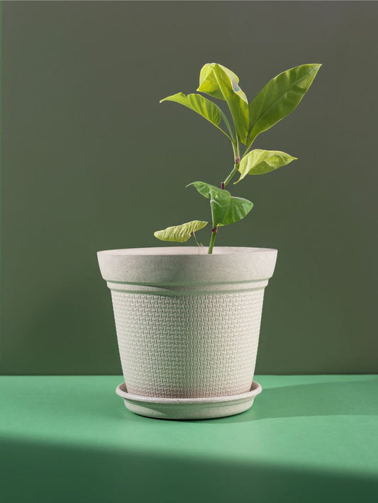 Rice Husk and Bamboo Fiber Dahlia Pot and Planter - Set of 2