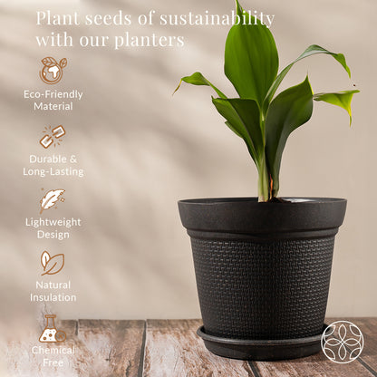 Rice Husk and Bamboo Fiber Dahlia Pot and Planter - Set of 2