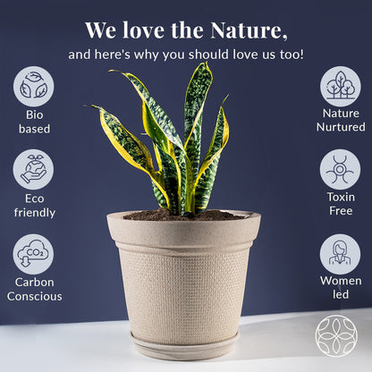 Rice Husk and Bamboo Fiber Dahlia Pot and Planter - Set of 2