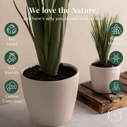 Rice Husk and Bamboo Fiber Lily Pot and Planter