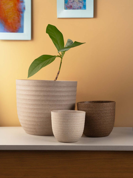 Rice Husk and Bamboo Fiber Peony Pot and Planter