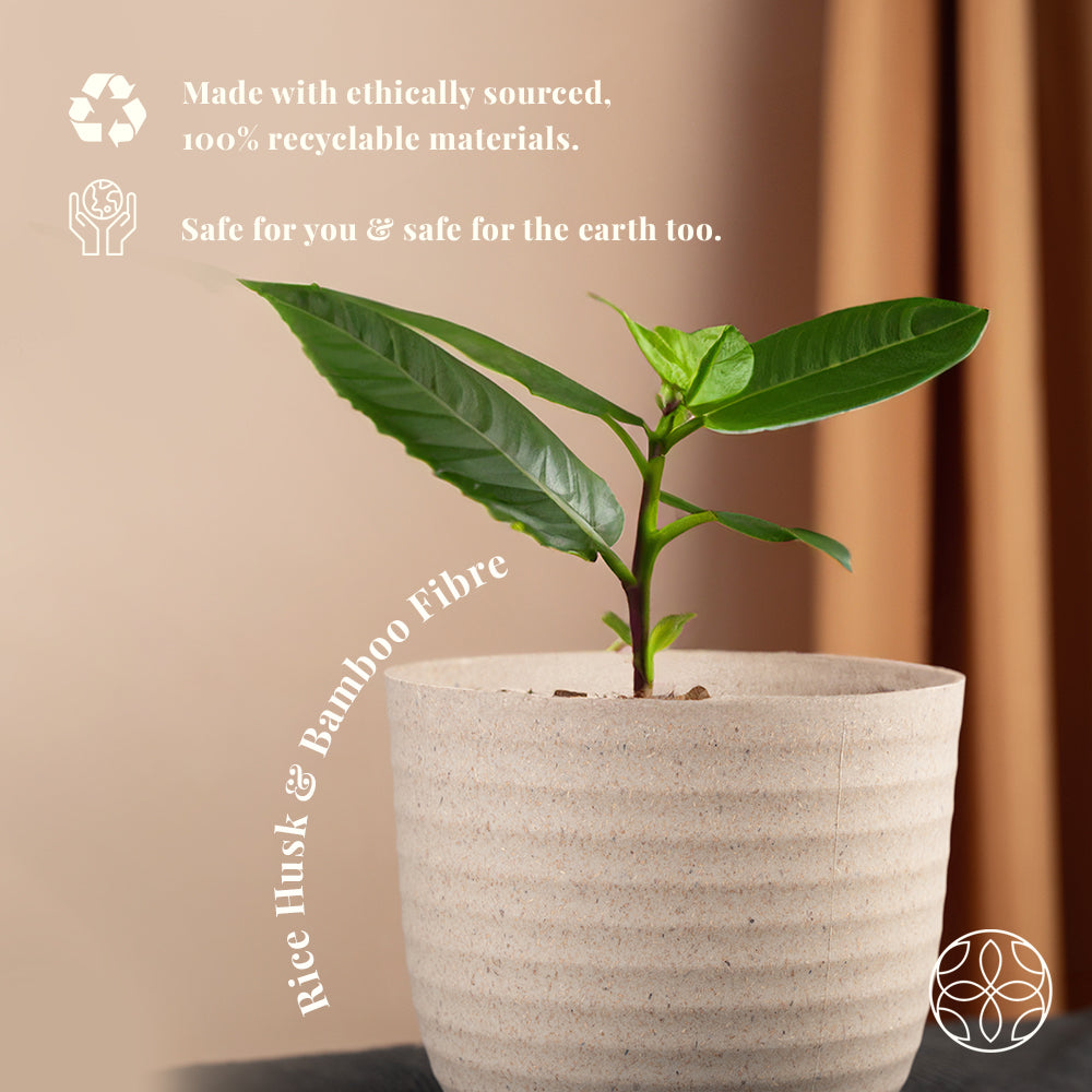 Rice Husk and Bamboo Fiber Peony Pot and Planter
