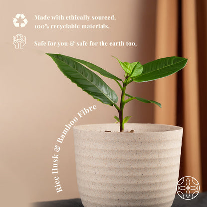 Rice Husk and Bamboo Fiber Peony Pot and Planter
