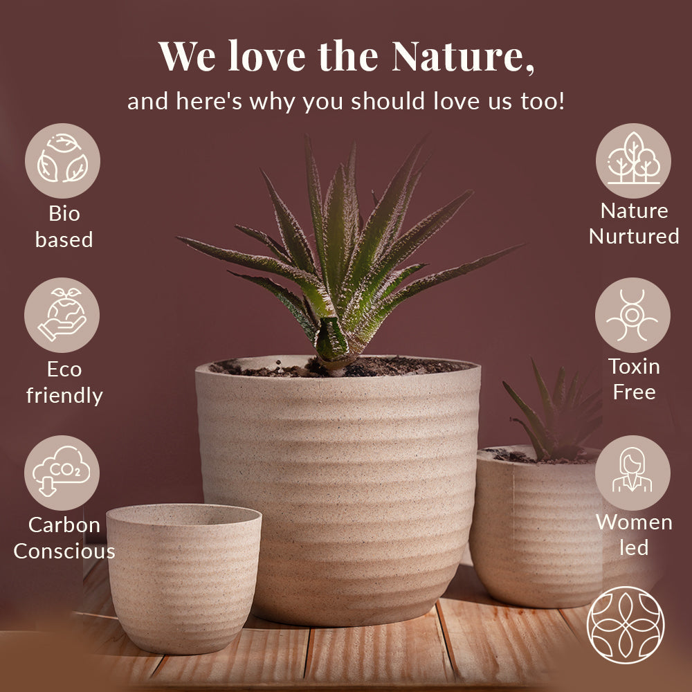Rice Husk and Bamboo Fiber Peony Pot and Planter