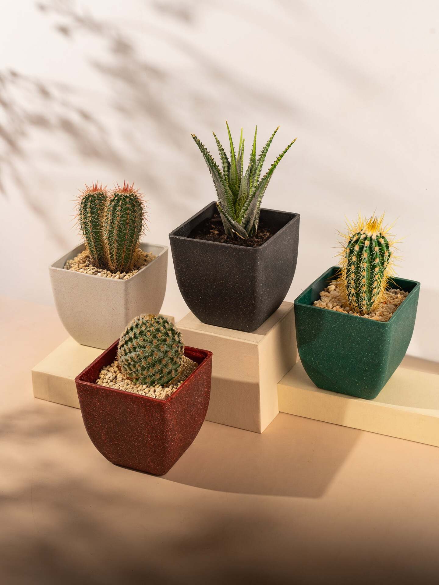 Rice Husk and Bamboo Fiber Sakura Pot and Planter - 4"- Set of 2