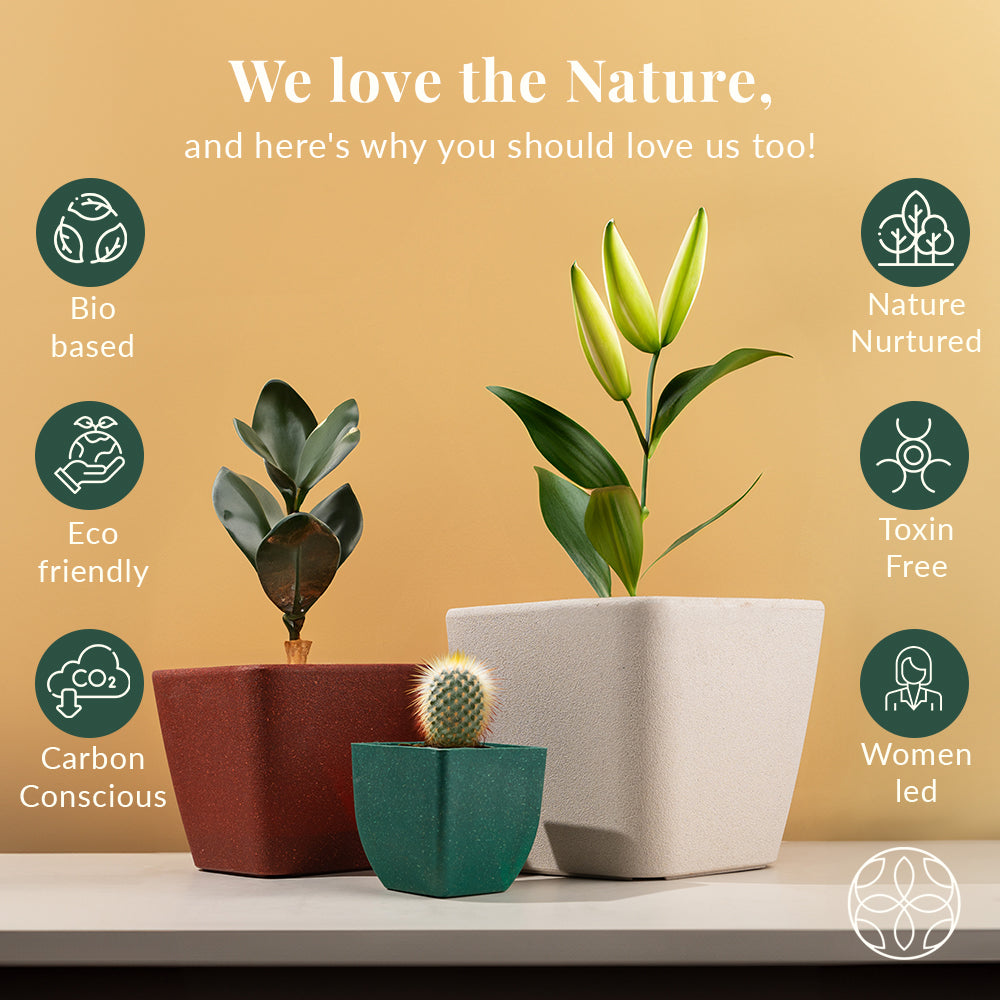 Rice Husk and Bamboo Fiber Sakura Pot and Planter - 4"- Set of 2