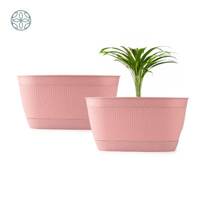 Eco Friendly Rice Husk Camelia 11.5 inch Pots & Planter