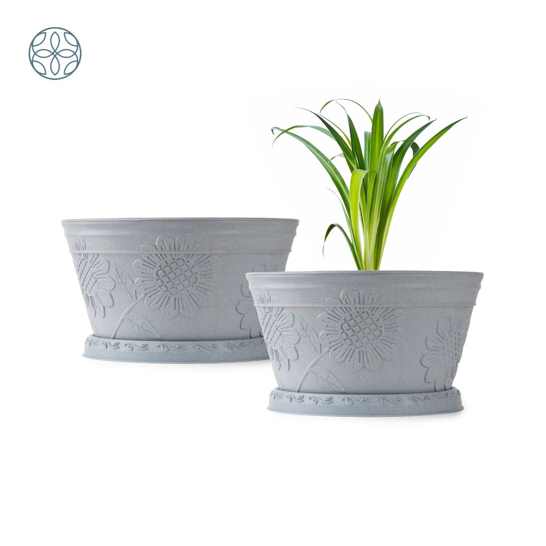 Eco Friendly Rice Husk Lotus 9.5 inch Pots & Planter | Soft Beige