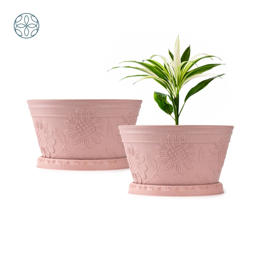 Eco Friendly Rice Husk Lotus 9.5 inch Pots & Planter | Soft Beige
