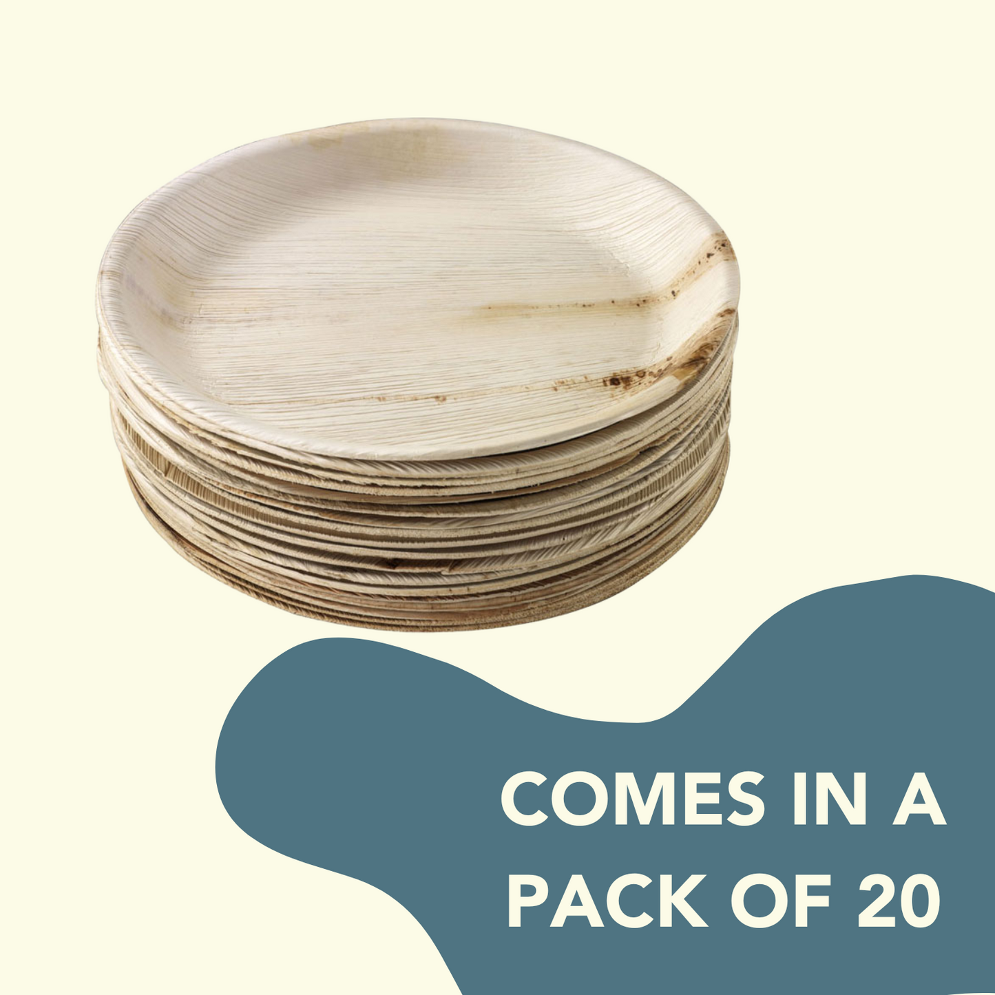 Disposable Areca Plates 10 Inches - Pack of 20